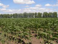 Саша з panoramio.com