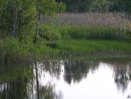 Іршанськ з panoramio.com