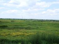 Кочерів з panoramio.com