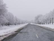 Лебедин з panoramio.com