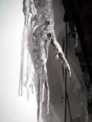 Соснівка з panoramio.com