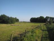 Сираї - Останні фото