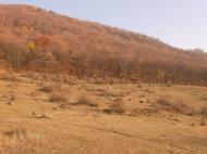 Хижа з panoramio.com