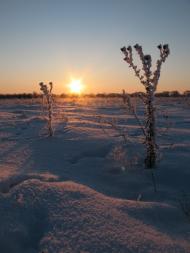 Pashkivka - Latest photos