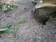 Гришки з panoramio.com