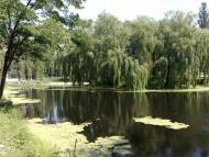 Дунаївці з panoramio.com