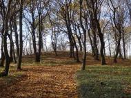 Корчів з panoramio.com