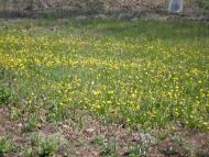 Тельманово - Последние фото