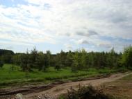 Кам'янка з panoramio.com