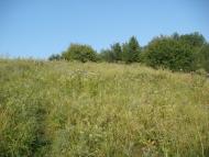 Степний Яр з panoramio.com