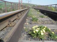 Доломітне з panoramio.com