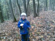 Великі Вільми з panoramio.com