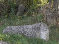 Тарноруда з panoramio.com