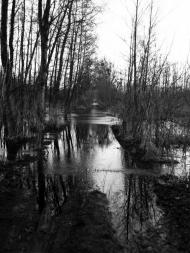 Вишнівка з panoramio.com