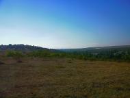 Каштани з panoramio.com