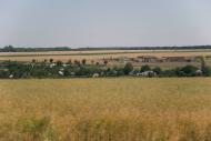Мічуріне з panoramio.com