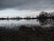 Дробишів з panoramio.com