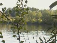 Ковильне з panoramio.com