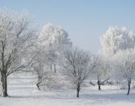 Антопіль з panoramio.com