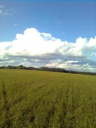 Гмирянка з panoramio.com