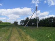 Водянолипове - Останні фото