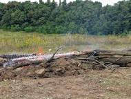 Дідівці з panoramio.com