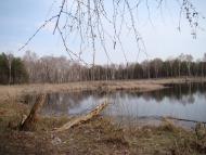 Жовтневе з panoramio.com