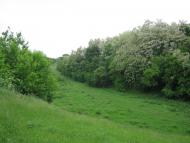 Ставидла з panoramio.com