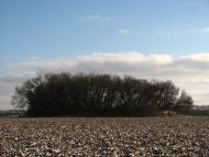 Цвітове з panoramio.com