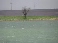 Kalynove-Borschuvate - Latest photos