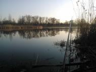 Вільховатка з panoramio.com