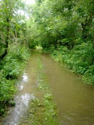 Михайлівці з panoramio.com