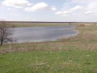 Основа - Останні фото