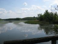 Ставидла з panoramio.com