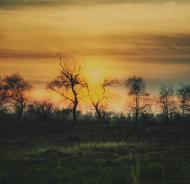 Ворзель з panoramio.com