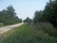 Пильки з panoramio.com