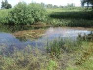 Терещенки з panoramio.com