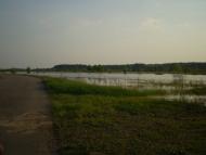 Радуль з panoramio.com