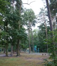 Ворзель з panoramio.com