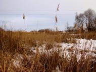 Жовтневе з panoramio.com