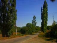 Каштанове з panoramio.com