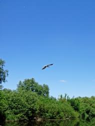 Голосків з panoramio.com