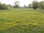 Висока Вакулівка - Останні фото