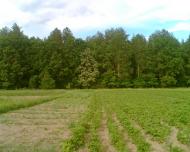 Жукля з panoramio.com