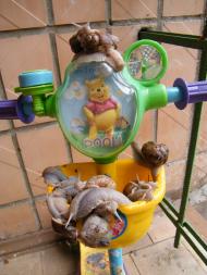 Ворзель з panoramio.com