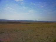 Каштани з panoramio.com