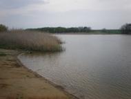Тельманове з panoramio.com