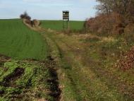 Корчів з panoramio.com