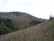 Старий Збараж з panoramio.com