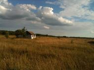 Браженець з panoramio.com